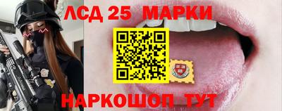 гашик Будённовск