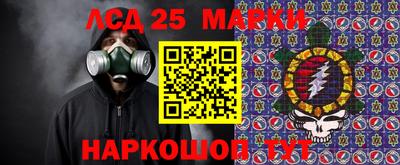 гашик Будённовск
