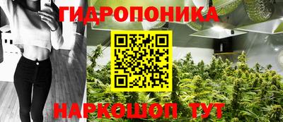 гашик Будённовск