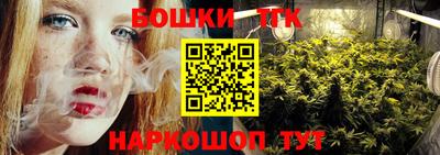 гашик Будённовск