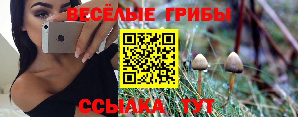 Галлюциногенные грибы ЛСД  Вход с VPN  хочу наркоту  Шарыпово 